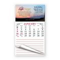 Peel & Stick Calendar Magnets W/Tear Away Calendar